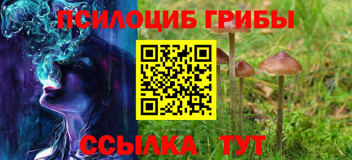 Псилоцибиновые грибы Psilocybine cubensis Иркутск